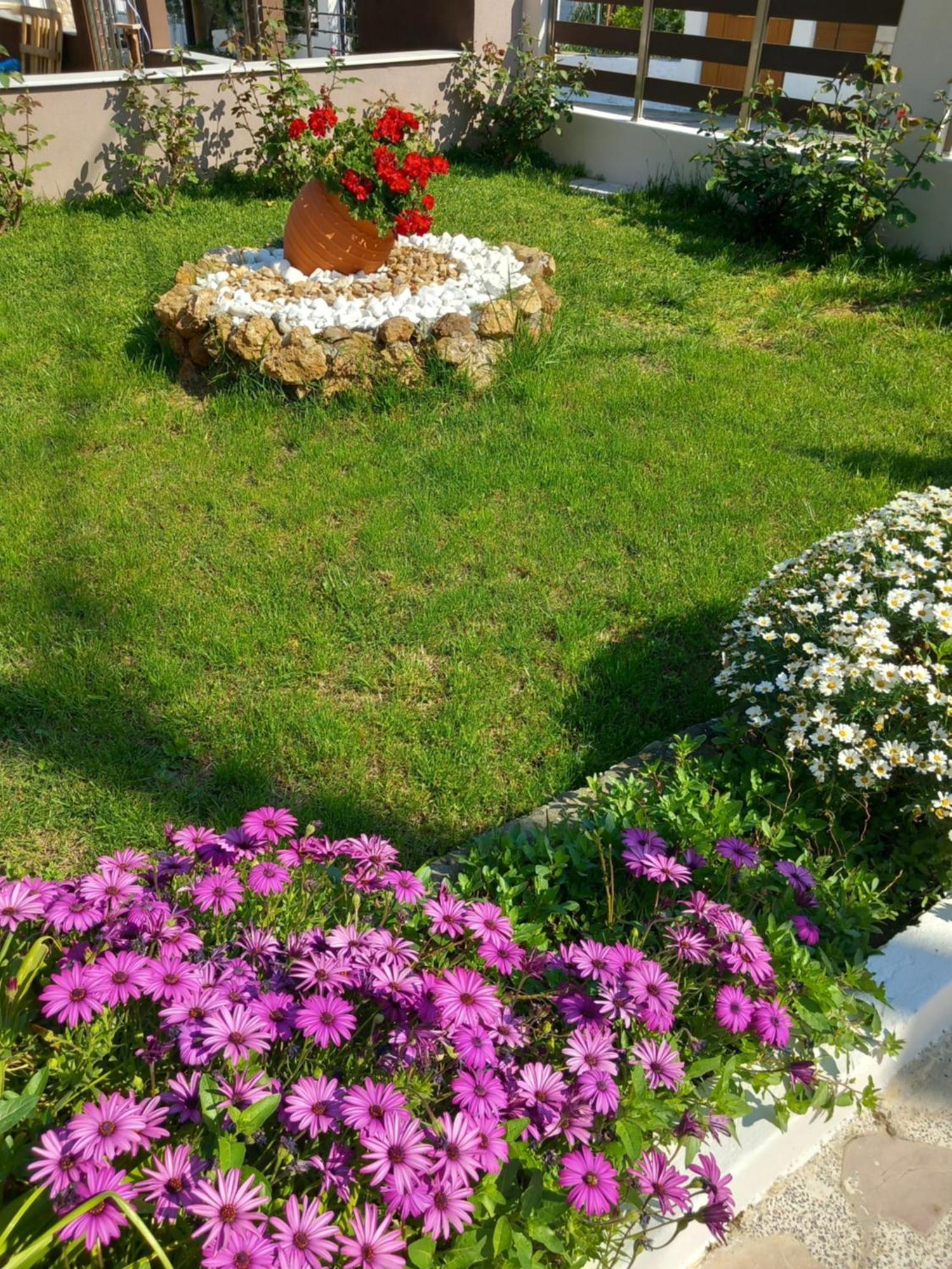 Roses 2 Apartment Skala Sotiros Luaran gambar